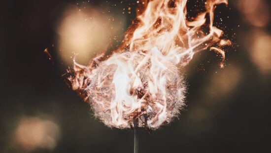 Photo of a burning dandelion for RosaEmilia blog post "Heridas"